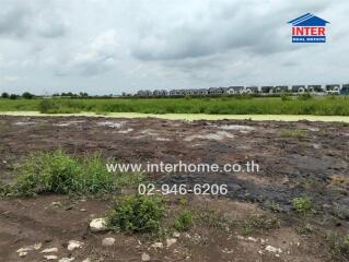 Vacant land plot with some vegetation and distant residential buildings