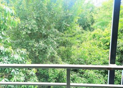 Balcony view with lush green trees