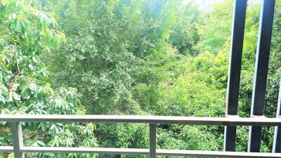 Balcony view with lush green trees