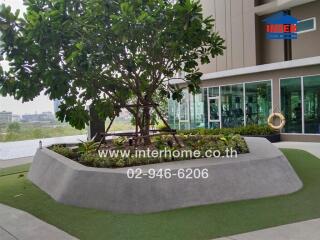 Garden area in a building