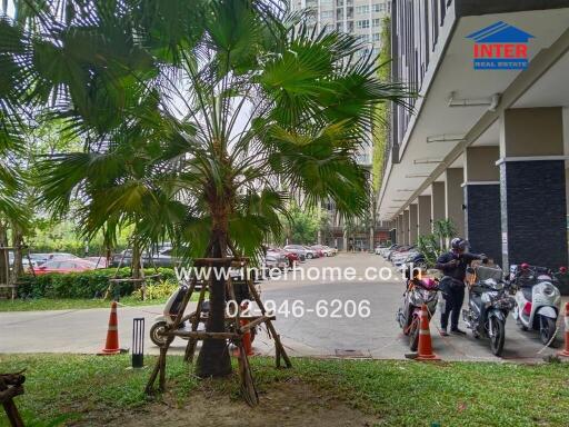 Entrance view with greenery and parking