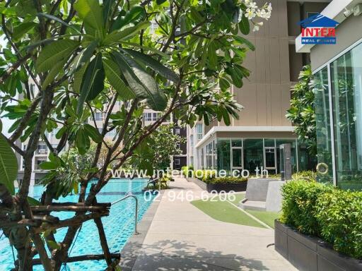 Outdoor pool area with lush greenery and modern building