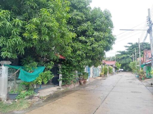 street view of the neighborhood with houses