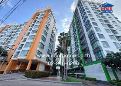 View of two modern apartment buildings with a basketball hoop and palm trees