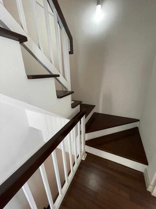 Indoor staircase with wooden steps and white handrails