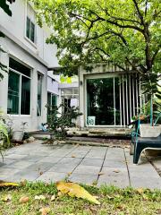 Backyard with greenery and patio