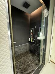 Modern shower with glass door