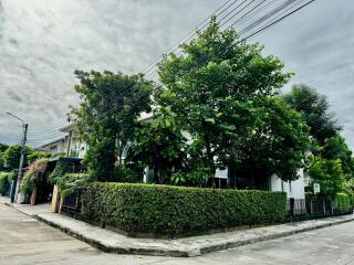 Exterior view of a building with surrounding greenery