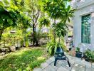 A vibrant garden area with lush greenery and seating