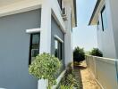 Side view of a modern white and grey building with vegetation