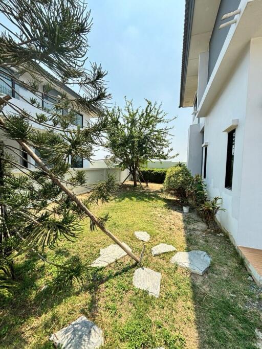 View of the garden area with a tree and stone path