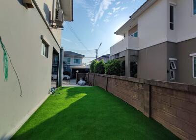 Side yard with green lawn