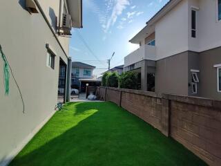 Side yard with green lawn