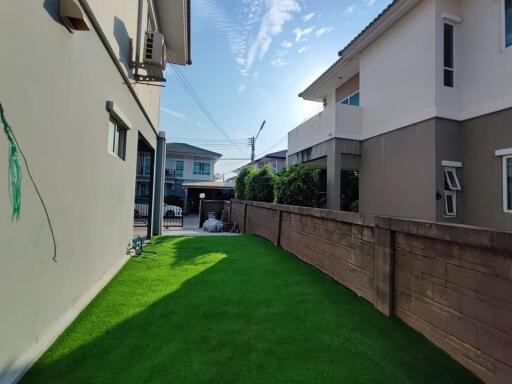 Side yard with green lawn