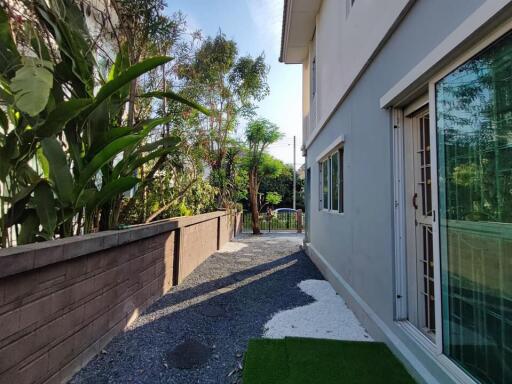 Side yard and exterior view of house