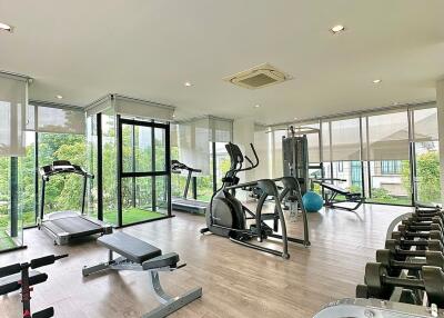 Modern gym with various exercise equipment and large windows