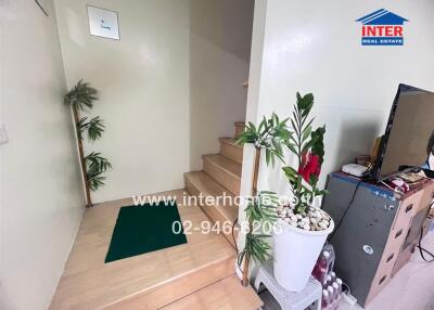 Main living area with staircase and decorative plants