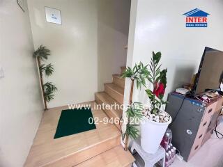 Main living area with staircase and decorative plants