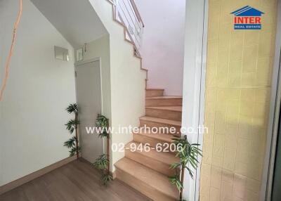 Staircase with plants and a door underneath