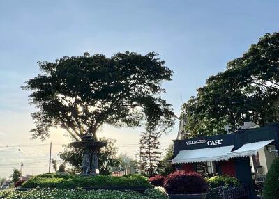 Outdoor view of a cafe with trees and landscaping