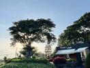 Outdoor view of a cafe with trees and landscaping