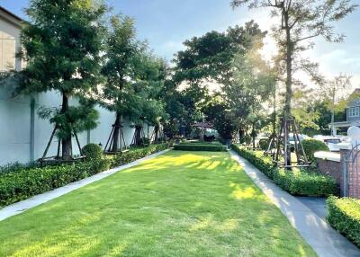 Spacious garden area with well-maintained lawn and trees