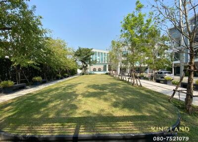 Green lawn area with trees and modern buildings in the background.