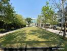 Green lawn area with trees and modern buildings in the background.