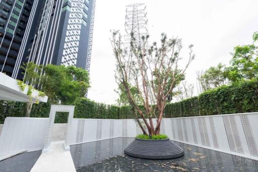 Modern outdoor area with greenery and tall buildings in the background