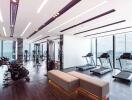 Modern gym with city view