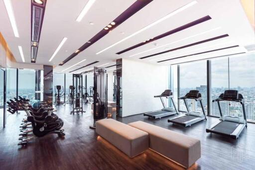 Modern gym with city view