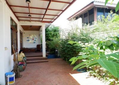 Covered patio area with greenery