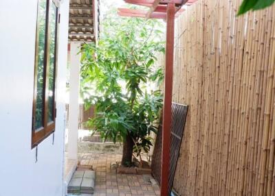 Small outdoor area with a tree and tiled floor