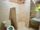 Spacious bathroom with tiled walls, walk-in shower, toilet, and sink