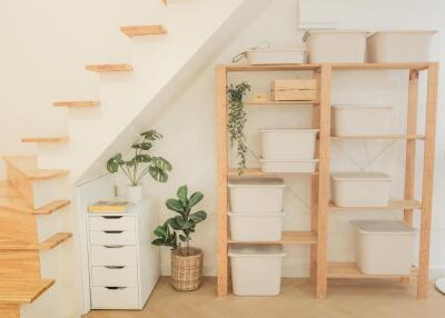 Under-stairs storage area with shelving and plants