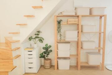 Under-stairs storage area with shelving and plants