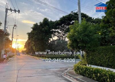 Residential street view with trees and sunset