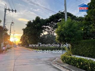 Residential street view with trees and sunset