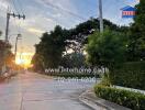 Residential street view with trees and sunset