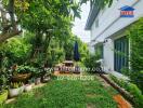 Green garden area with plants and outdoor seating