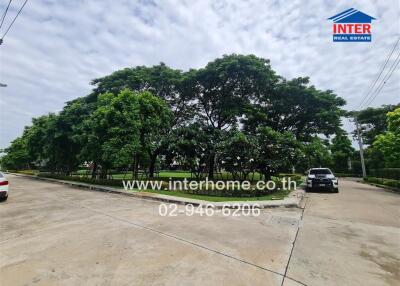 Real Estate Property Surrounding with Trees