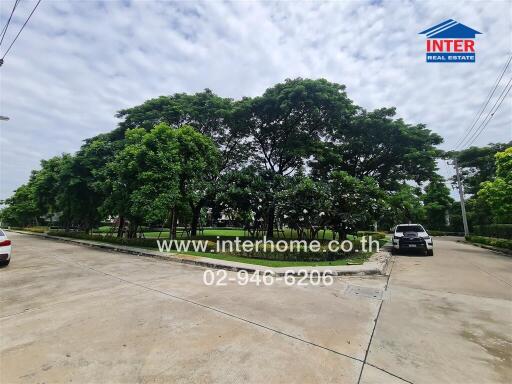 Real Estate Property Surrounding with Trees