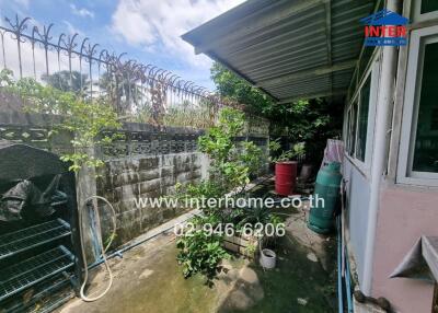 Outdoor space with plants and shed