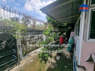 Outdoor space with plants and shed