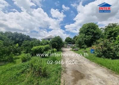 Spacious outdoor area with lush greenery and a driveway leading to the house