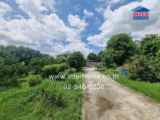 Spacious outdoor area with lush greenery and a driveway leading to the house