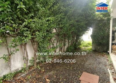 Outdoor garden area with green plants and walkway