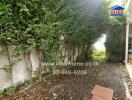 Outdoor garden area with green plants and walkway