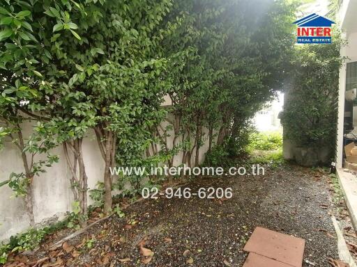 Outdoor garden area with green plants and walkway