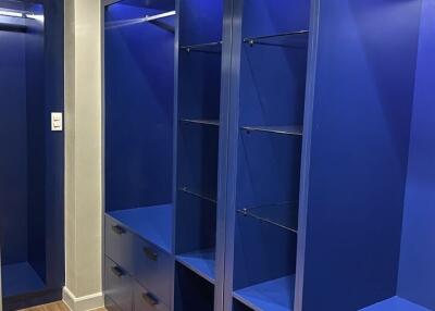 Modern walk-in closet with blue shelving and drawers